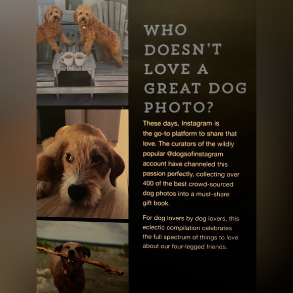 Dogs On Instagram Coffee Table Book - Picture 3 of 3